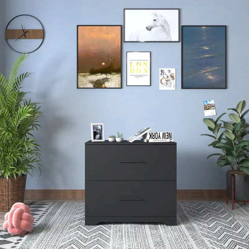 2 -Drawer Lateral Filing Cabinet,Storage Filing Cabinet for Home Office